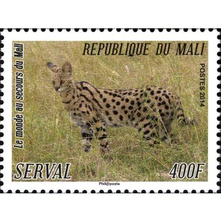 SERVAL / Le Monde au secours du Mali